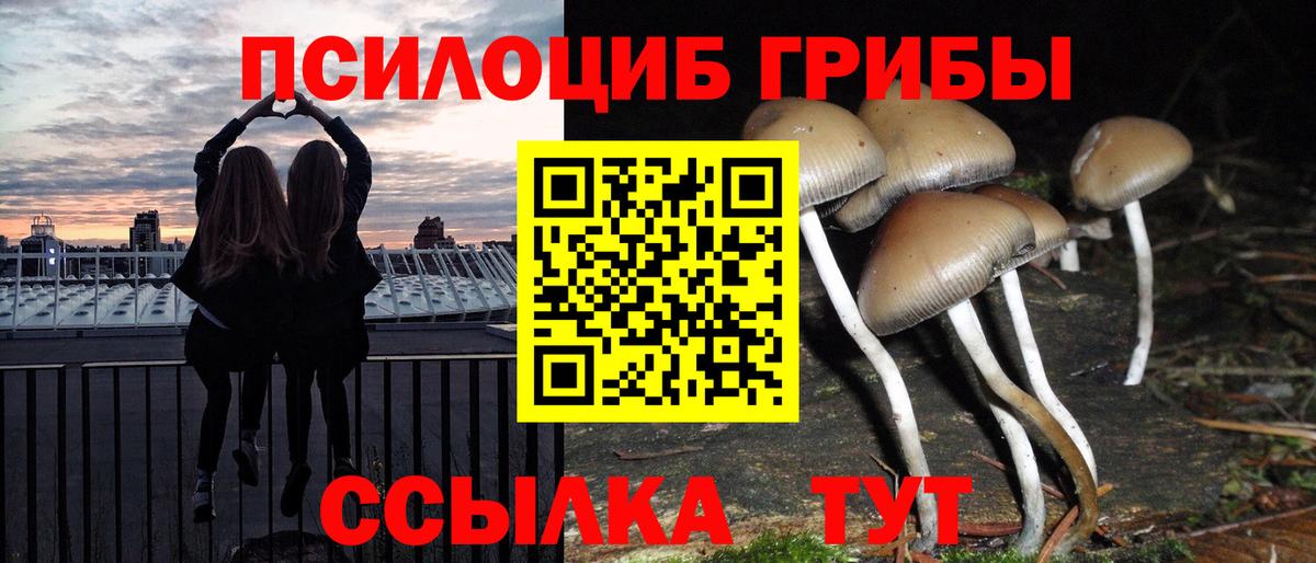 Псилоцибиновые грибы Psilocybine cubensis Заводоуковск